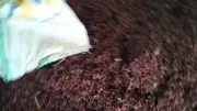 ضبط 4 أطنان كركديه مجهولة المصدر في مخزن غير مرخص بطوخ
