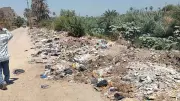 رفع 435 طنا مخلفات في حملات نظافة مكثفة بنجع حمادي وقفط بقنا