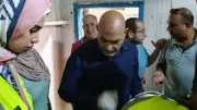 ضبط ربع طن دواجن ولحوم غير صالحة للاستهلاك في حملة رقابية بالقليوبية
