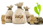 حكم إعطاء الزكاة لزوج البنت.. دار الإفتاء توضح الجواز بشروط