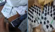 ضبط 2390 عبوة مستحضرات تجميل مغشوشة جاهزة للبيع في الإسكندرية