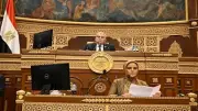 مجلس الشيوخ يحيل تقارير اللجان للحكومة لتنفيذ توصيات التنمية