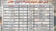 الشرقية توفر 1396 فرصة عمل للشباب بالقطاع الخاص في 4 مدن