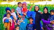خطوات تقديم شكوى معاش تكافل وكرامة 2026 والاستعلام إلكترونيًا