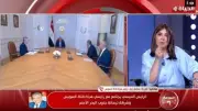 ربيع: زيادة 10% في سفن قناة السويس وإيرادات 4.6 مليار دولار