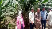 حصاد أسبوعي ضخم لمركز البحوث الزراعية.. دعم مباشر وحماية للثروة الحيوانية