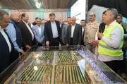 وزير الزراعة: إنتاج القمح يتجاوز 10 ملايين طن وكارت الفلاح يغطي 5.2 مليون حيازة