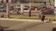مشاجرة بالأسلحة البيضاء في الشرقية بسبب خلافات الجيرة وضبط الأطراف