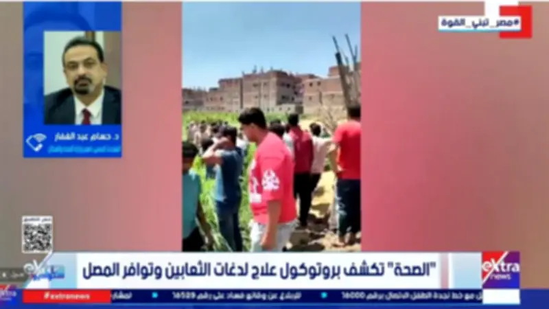 الصحة: لا نقص في أمصال العقارب والثعابين وتحذر من الوصفات الشعبية