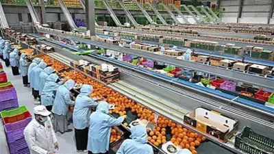 ارتفاع الصادرات المصرية لأمريكا 19.9% في 2025 بقيمة 2.7 مليار دولار