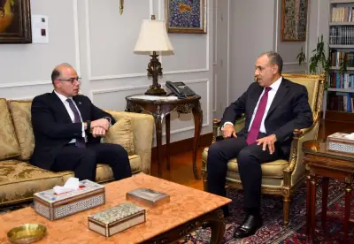 وزيرا الخارجية والاستثمار يبحثان دعم استثمارات الشركات المصرية في إفريقيا