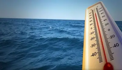 مع بداية الصيف: قفزة تاريخية في درجات حرارة المحيطات تثير القلق