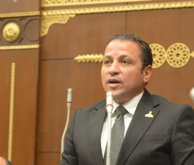 النائب عادل السكري: استقبال الرئيس للمنتخب حافز لمواصلة مسيرة الإنجازات