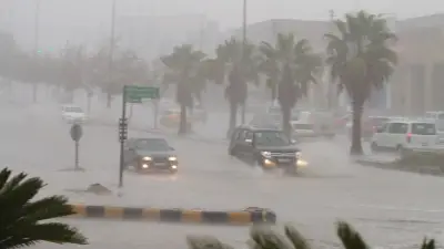 كوريا الجنوبية: فقدان شخص وتضرر أكثر من 400 منشأة بسبب الأمطار الغزيرة