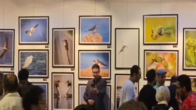 افتتاح معرض الحياة البرية بدار الأوبرا بمشاركة 151 عارضًا و150 لوحة فوتوغرافية