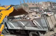 11 ألف بلاغ بيئي خلال يونيو والحكومة تكشف حملات مواجهة القمامة والحيوانات الضالة