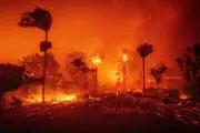 مقتل وإصابة 18 شخصًا جراء اندلاع حريق غابات في إسبانيا