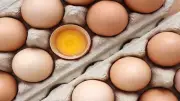 تراجع سعر كرتونة البيض اليوم الجمعة 10-7-2026 في بورصة الدواجن وللمستهلك