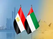 نصف قرن من الأخوة: أبرز المحطات في العلاقات المصرية الإماراتية