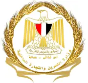 حملات رقابية موسعة للتموين تحبط محاولات غش وتهريب كبرى في 11 محافظة