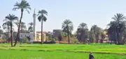لقطة نادرة لكفاح الفلاح المصري منذ 127 عاماً تثير الإعجاب