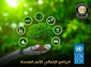 الأمم المتحدة تشيد بجهود مصر في العمل المناخي وتحقيق التنمية المستدامة