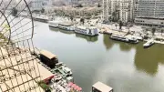 مديرية الطرق: الزمالك جزيرة عريقة تحكي تاريخ القاهرة بمعالمها وشوارعها